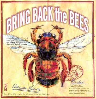 [Bee pic; click for links in new window.]